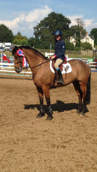 Blue Chip Pony Newcomers Second Round at Wales and West Show 